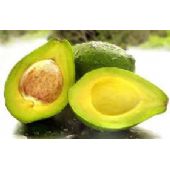AVOCADO CHOQUETE